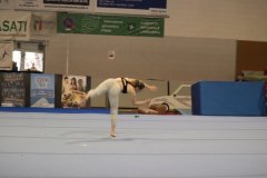 20230521-Saggio-500